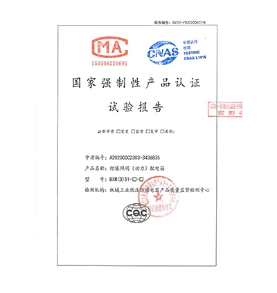 BXM(D)51防爆照明（動(dòng)力）配電箱